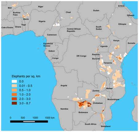 elefantes-luis-pellegrini-mapa-da-africa