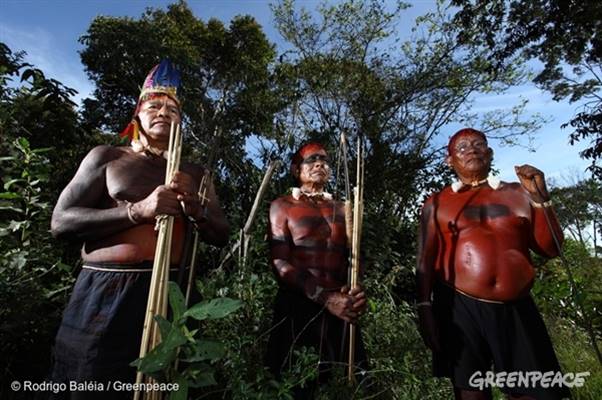 ONU: indígenas do Brasil enfrentam desafios para proteger suas terras