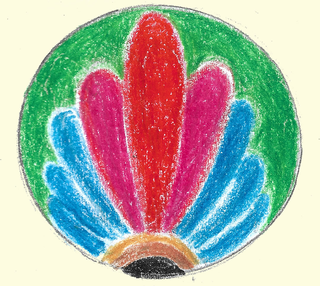 Ecovirada Indigenas